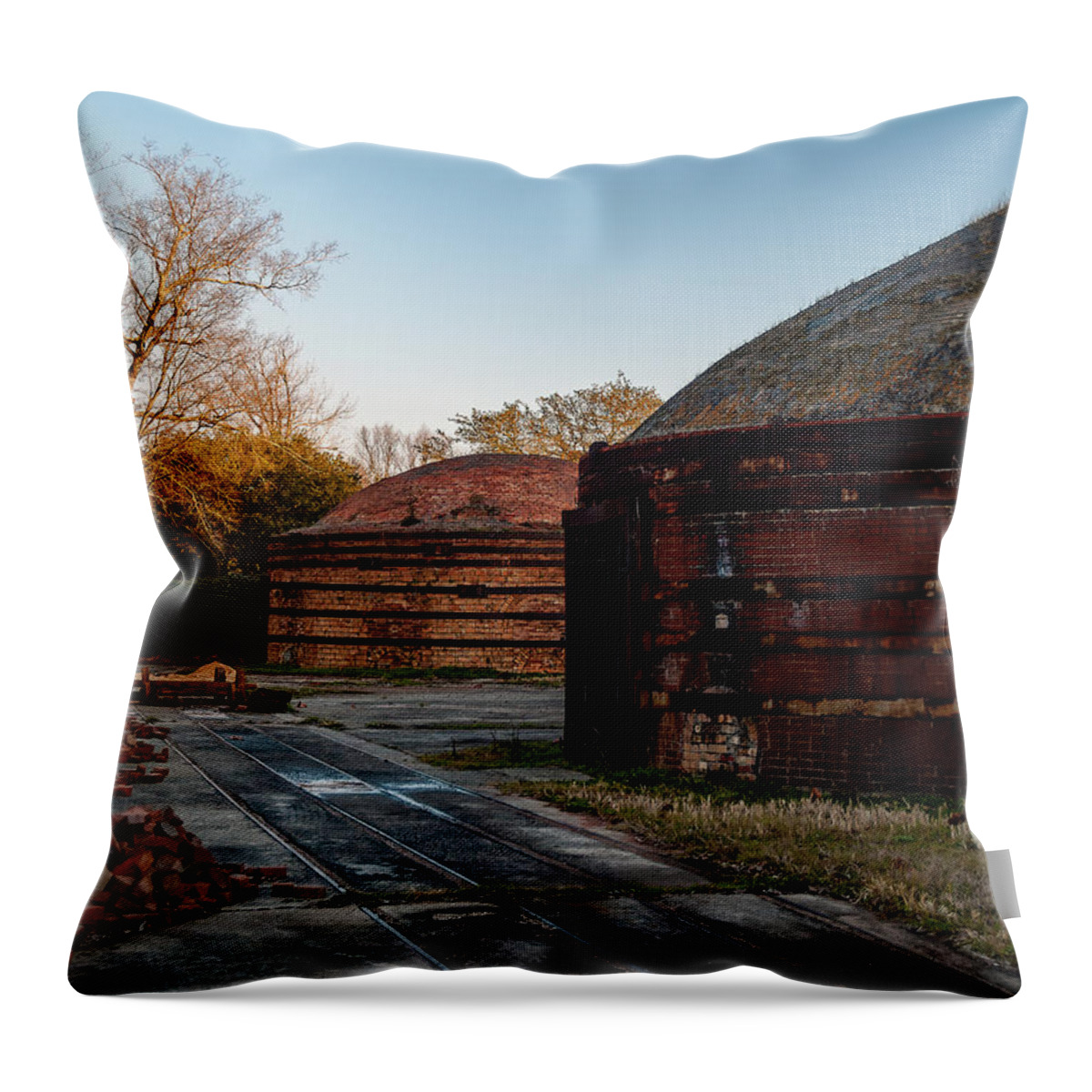 2010 Throw Pillow featuring the photograph Brickworks 8 by Charles Hite