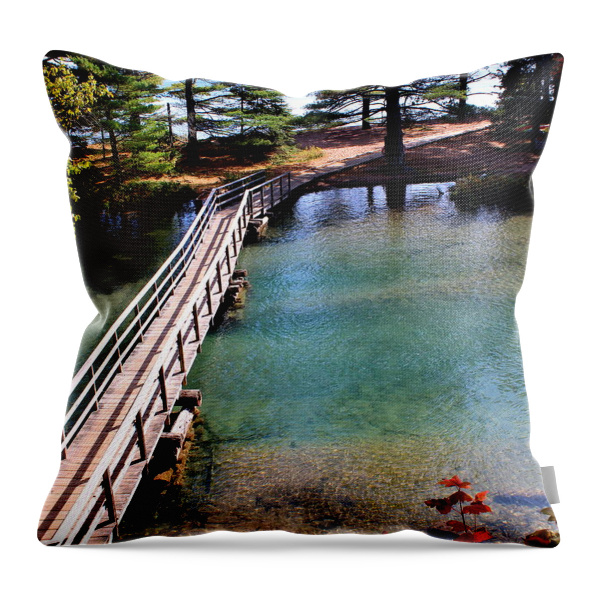 Bridge Throw Pillow featuring the photograph Bridge to... by John Olson