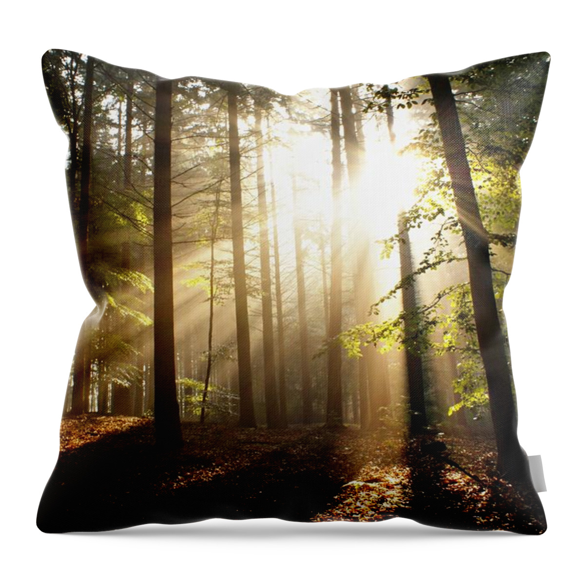 Tranquility Throw Pillow featuring the photograph Bright Light by Bob Van Den Berg Photography