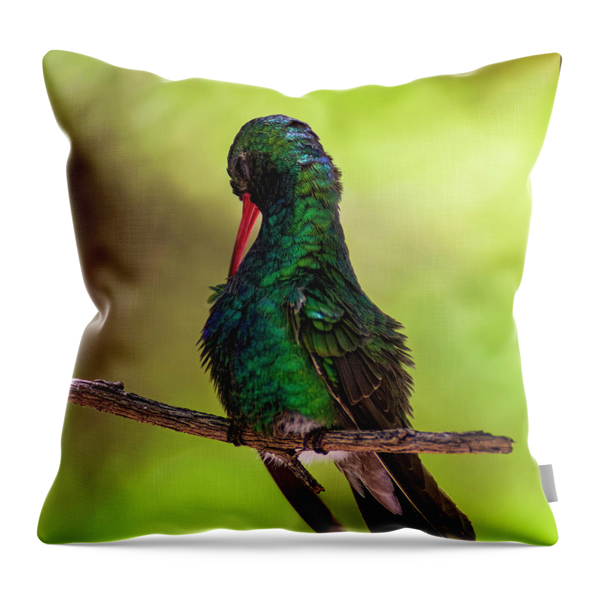 Broad-billed Throw Pillow featuring the photograph Broad-billed Hummingbird v1847 by Mark Myhaver