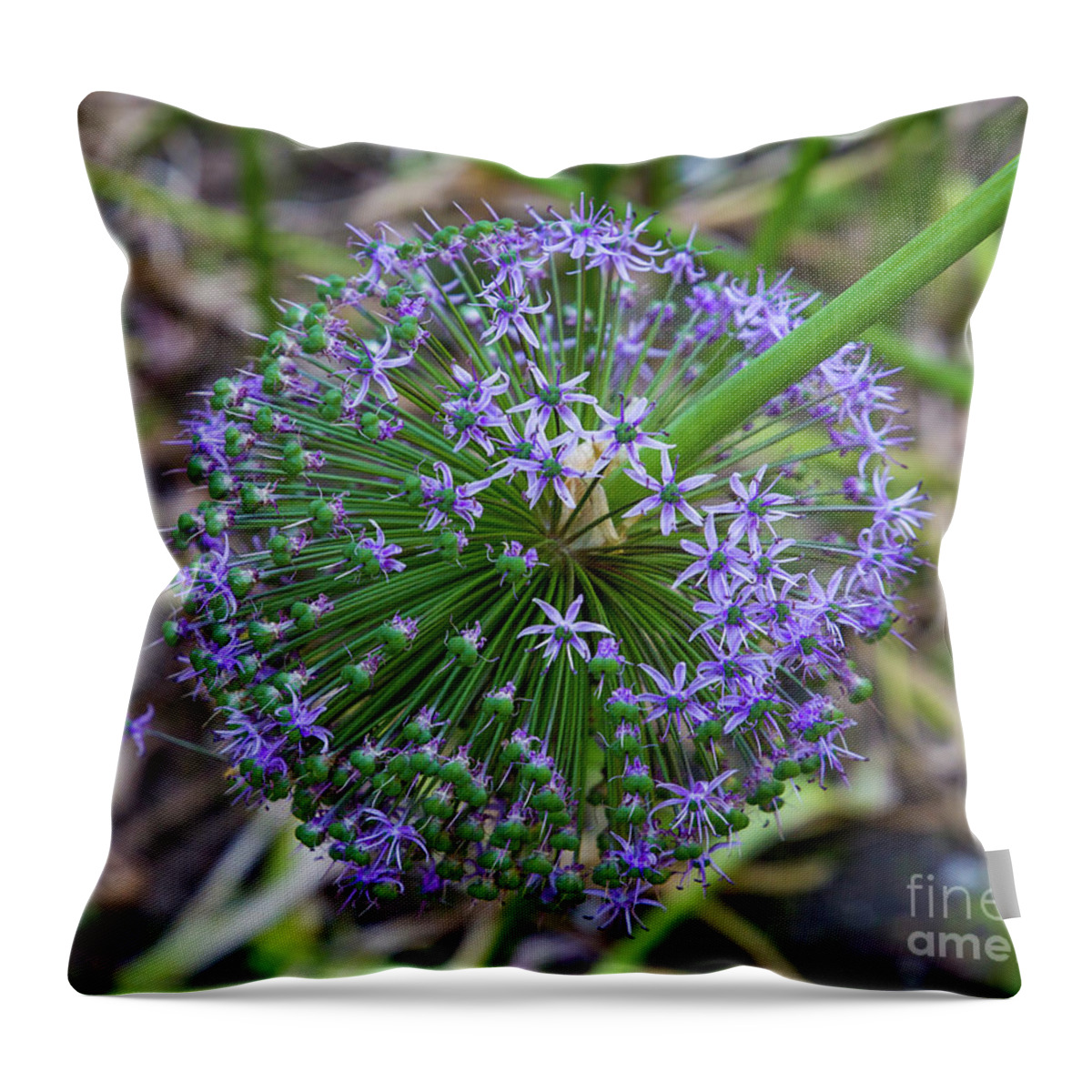 Flower Throw Pillow featuring the photograph Broken by Agnes Caruso
