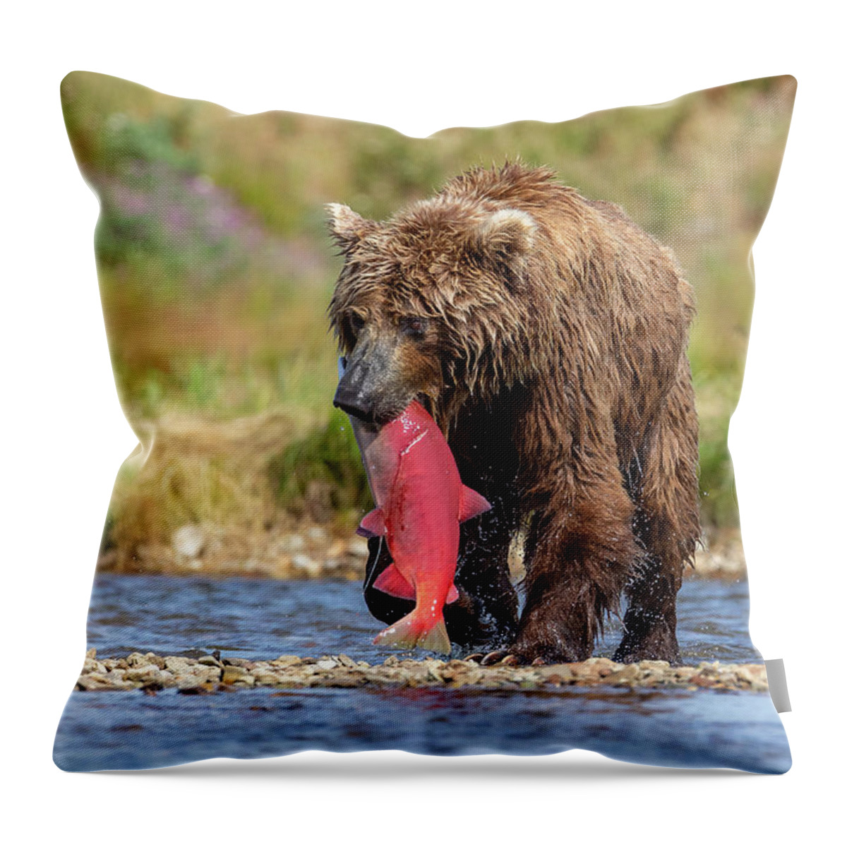Bear Throw Pillow featuring the photograph Brown Bear Holds Its Meal by Tony Hake