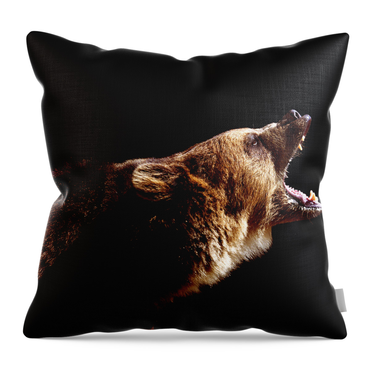 Brown Bear Throw Pillow featuring the photograph Brown Bear Ursus Arctos Roaring, Side by Ryan Mcvay