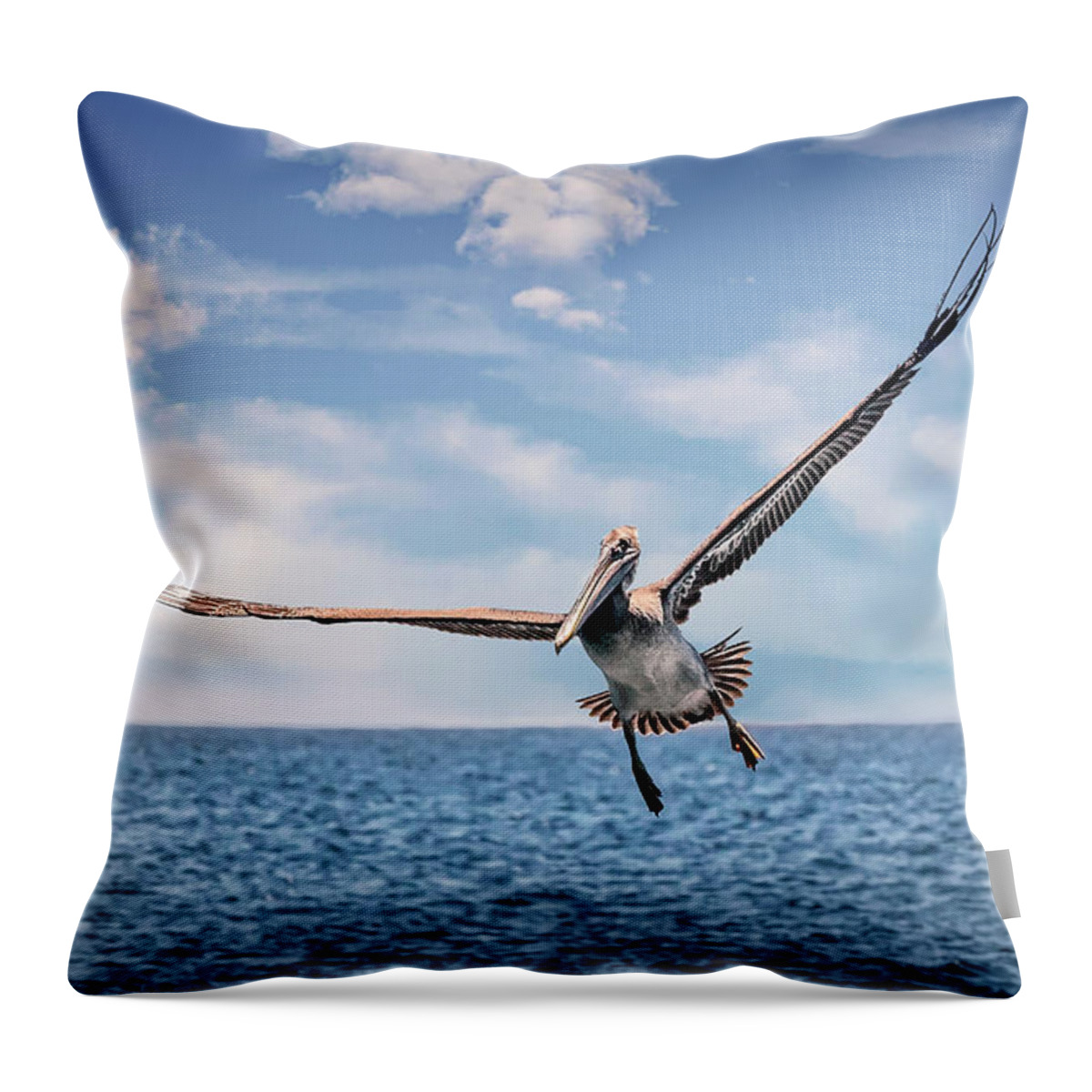 Brown Pelican Throw Pillow featuring the photograph Brown Pelican Number Three by Endre Balogh