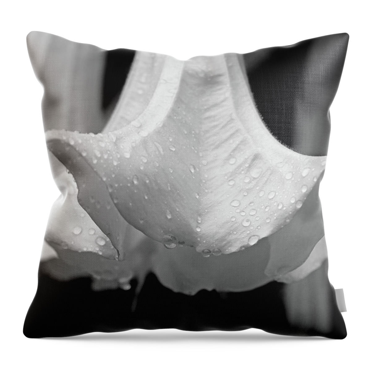 Angel's Trumpet Throw Pillow featuring the photograph Brugmansia Black And White by Debbie Oppermann