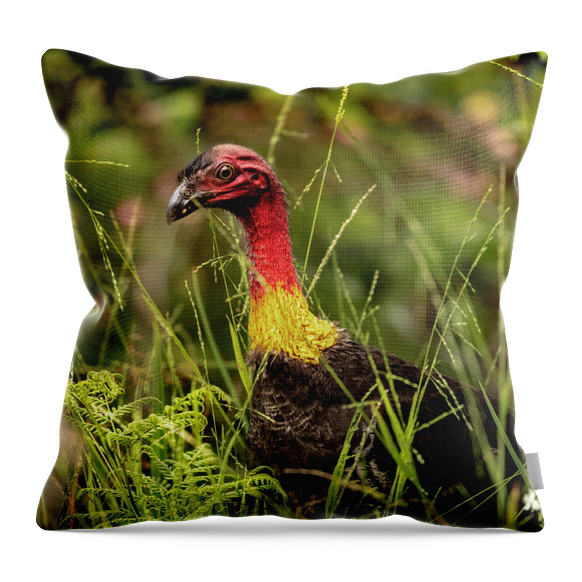 Australia Throw Pillow featuring the photograph Brush Turkey by Chris Cousins