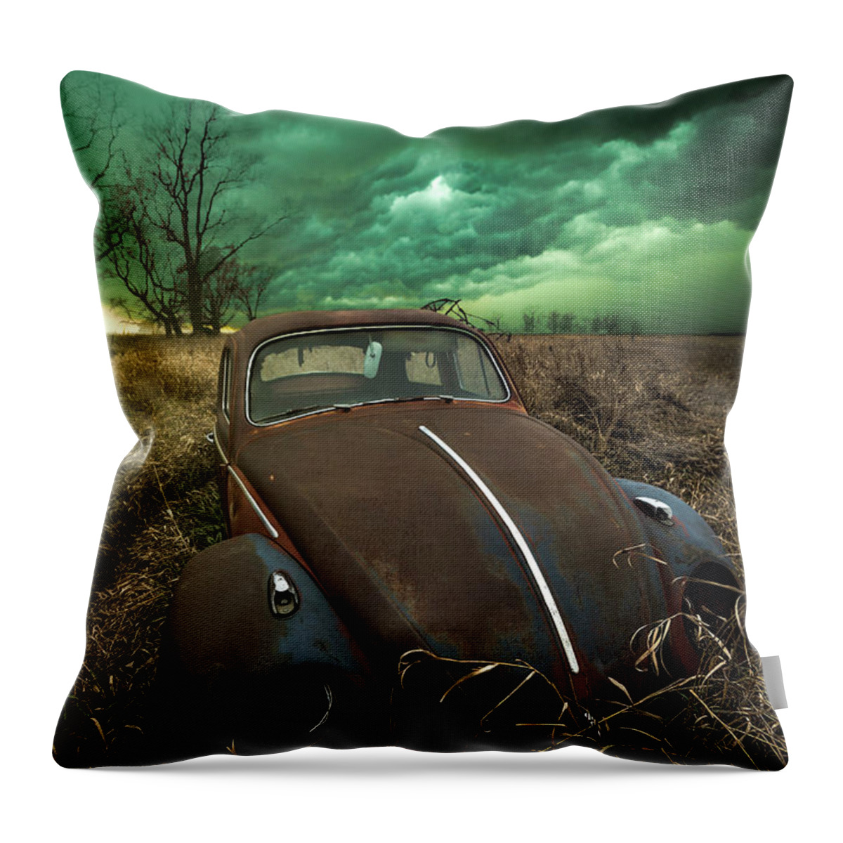 Rust Throw Pillow featuring the photograph Bug by Aaron J Groen