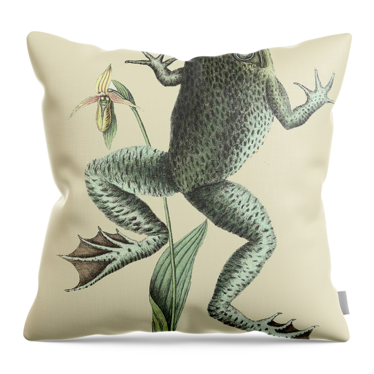 Nature Throw Pillow featuring the painting Bull Frog by Mark Catesby