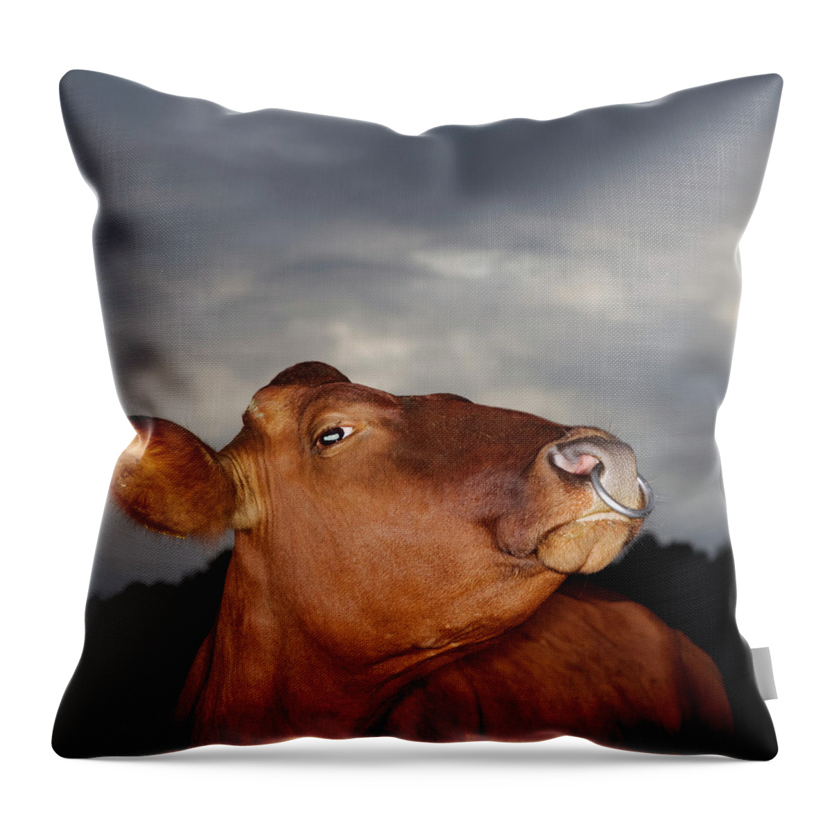 Sweden Throw Pillow featuring the photograph Bull In Evening Light by Roine Magnusson