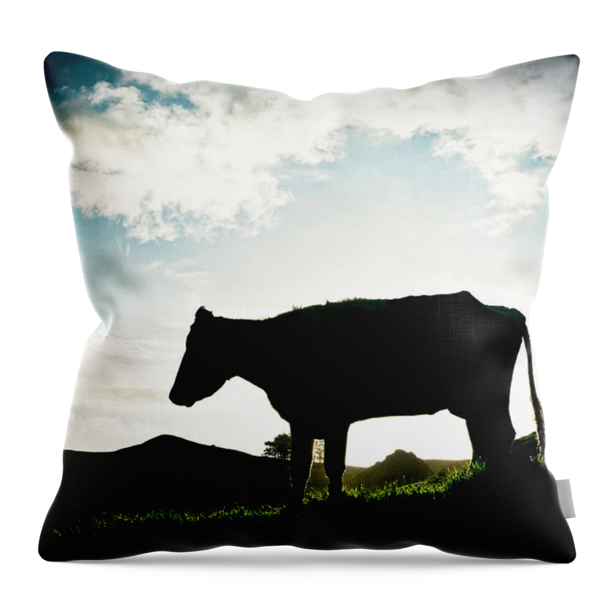 Grass Throw Pillow featuring the photograph Bullock In Silhouette by Georgeclerk