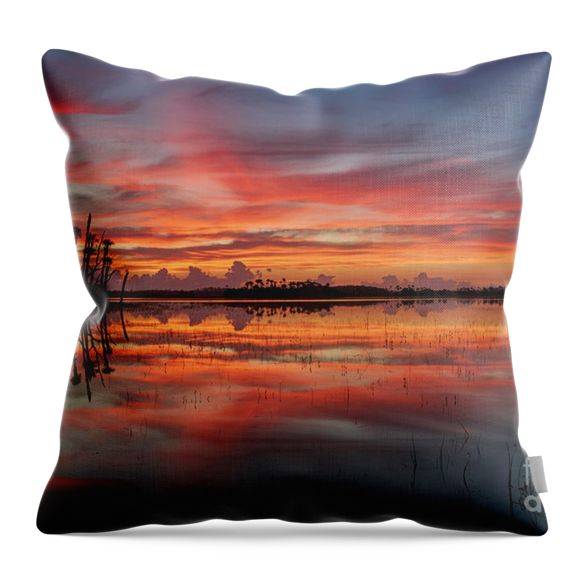 Usa Throw Pillow featuring the photograph Burst of Color by Brian Kamprath