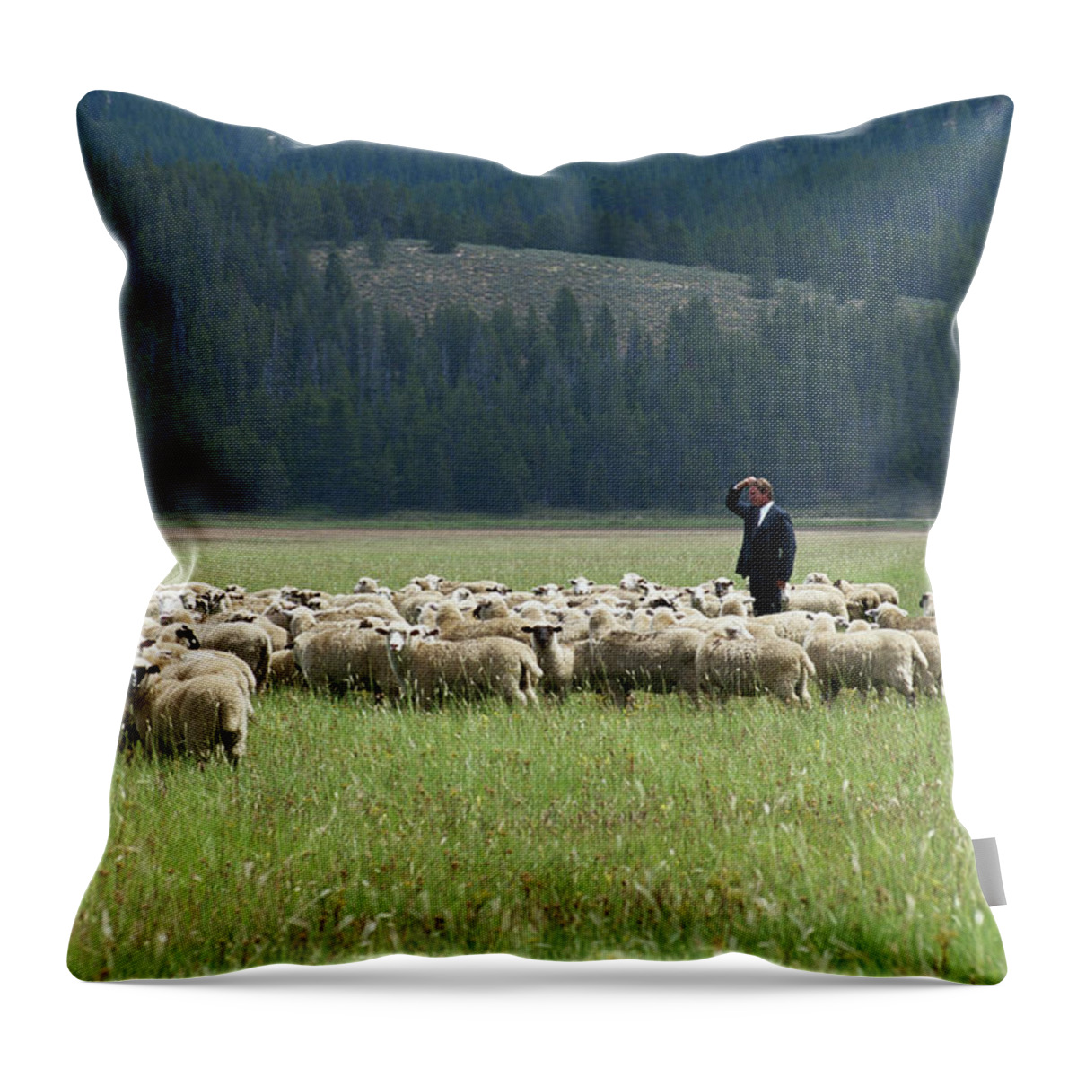 Corporate Business Throw Pillow featuring the photograph Businessman Standing In Herd Of Sheep by Steve Smith