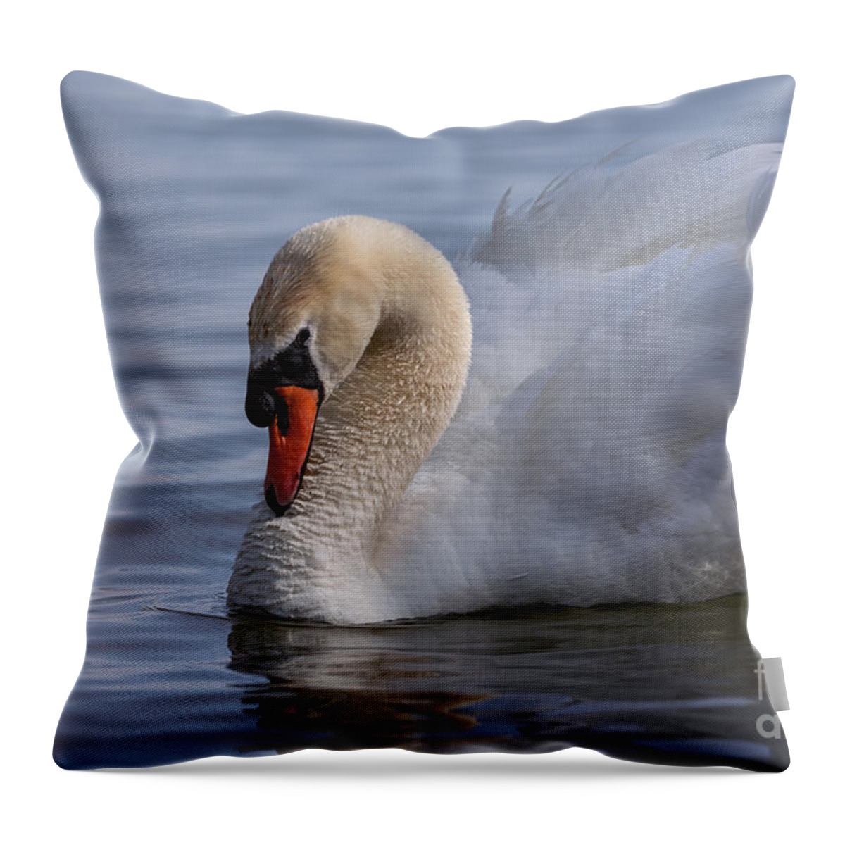Photography Throw Pillow featuring the photograph Busking around by Alma Danison