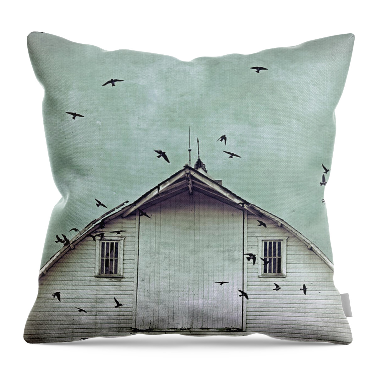 Top Selling Art Throw Pillow featuring the photograph Busy Barn by Julie Hamilton