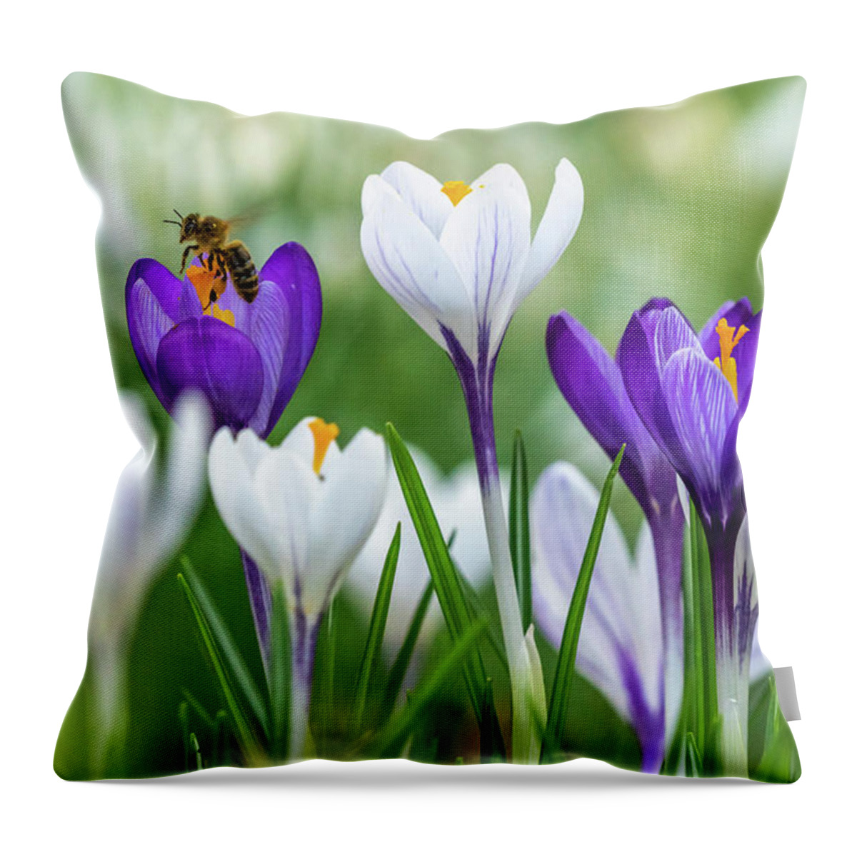 Spring Throw Pillow featuring the photograph Busy Bee by Framing Places