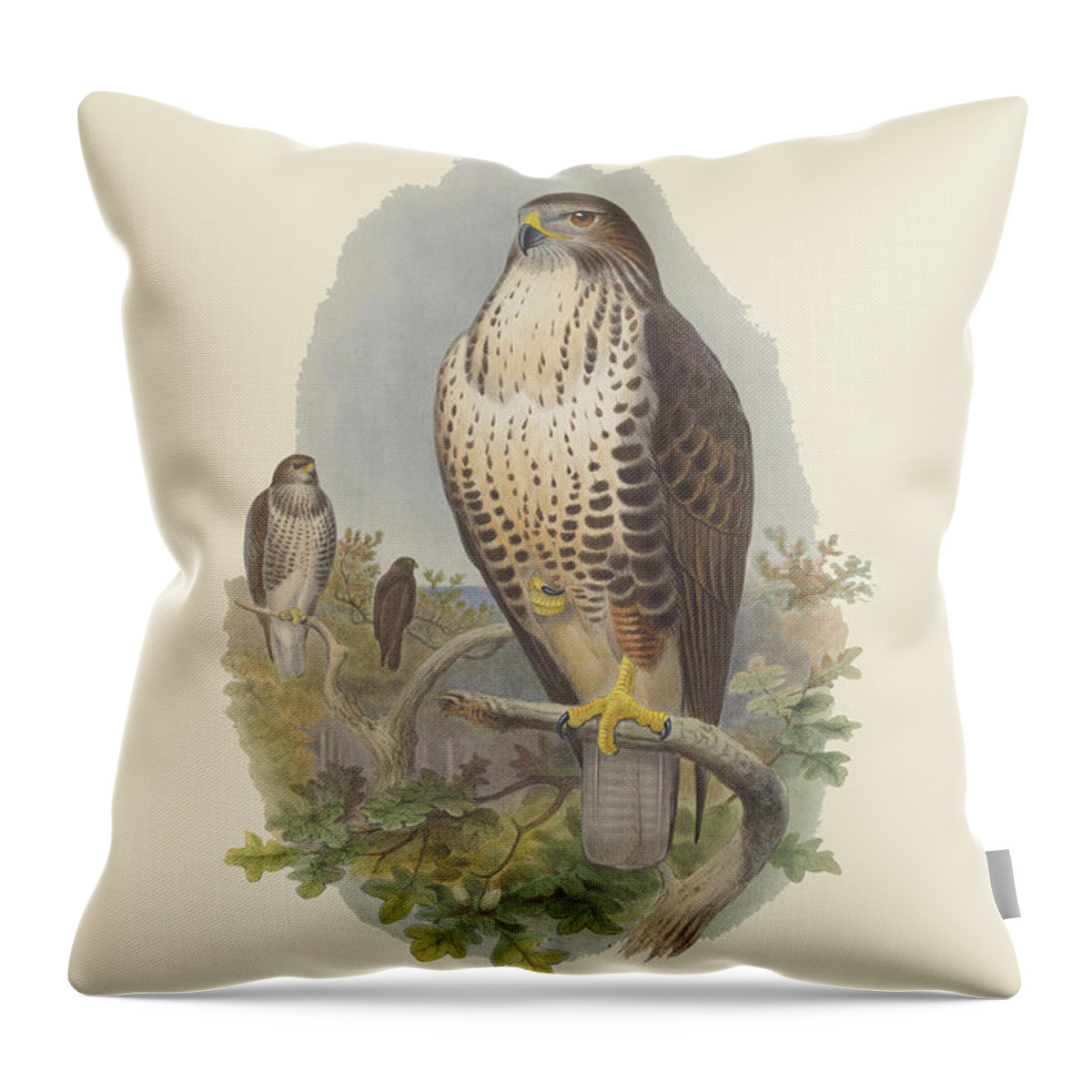 Buzzards Throw Pillow featuring the painting Buteo Vulgaris - Common Buzzard by John Gould
