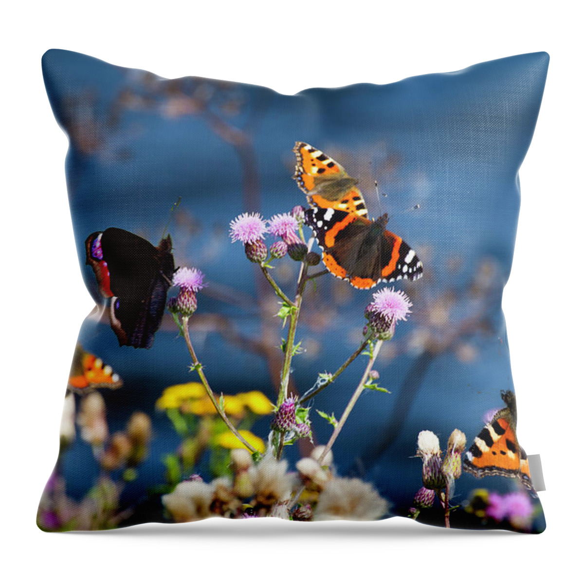Insect Throw Pillow featuring the photograph Butterflies Sitting On Flower by Www.wm Artphoto.se