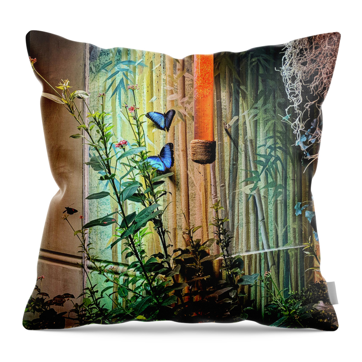 Plant Throw Pillow featuring the photograph Butterfly Garden by Portia Olaughlin