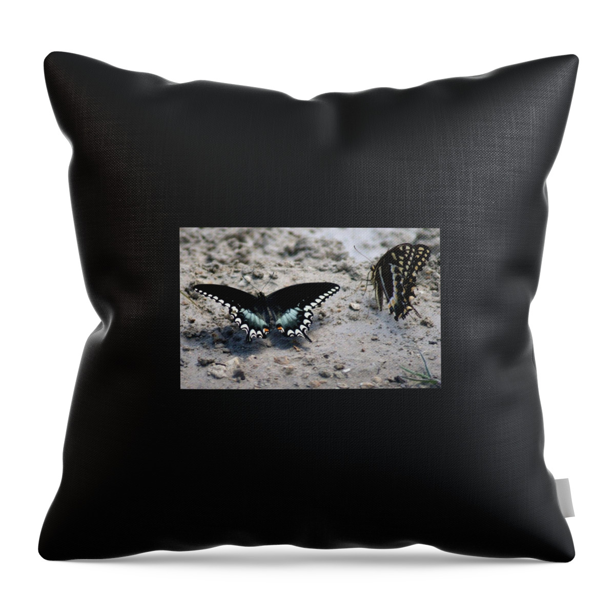 Florida Throw Pillow featuring the photograph Butterfly Kisses by Lindsey Floyd