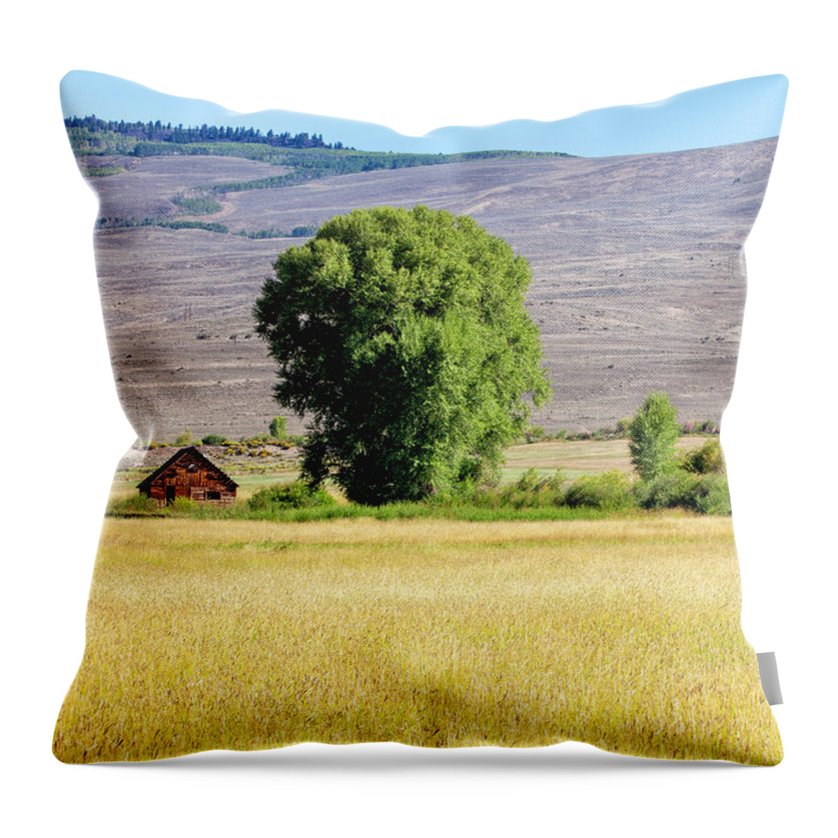 Hayfield Throw Pillow featuring the photograph Cabin Amid Hay Harvest by Denise Bush