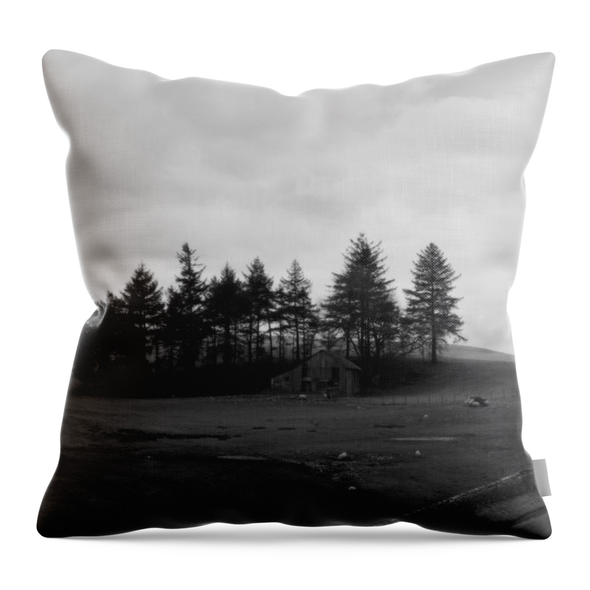 Valley Throw Pillow featuring the photograph Cabin in the woods by Lukasz Ryszka