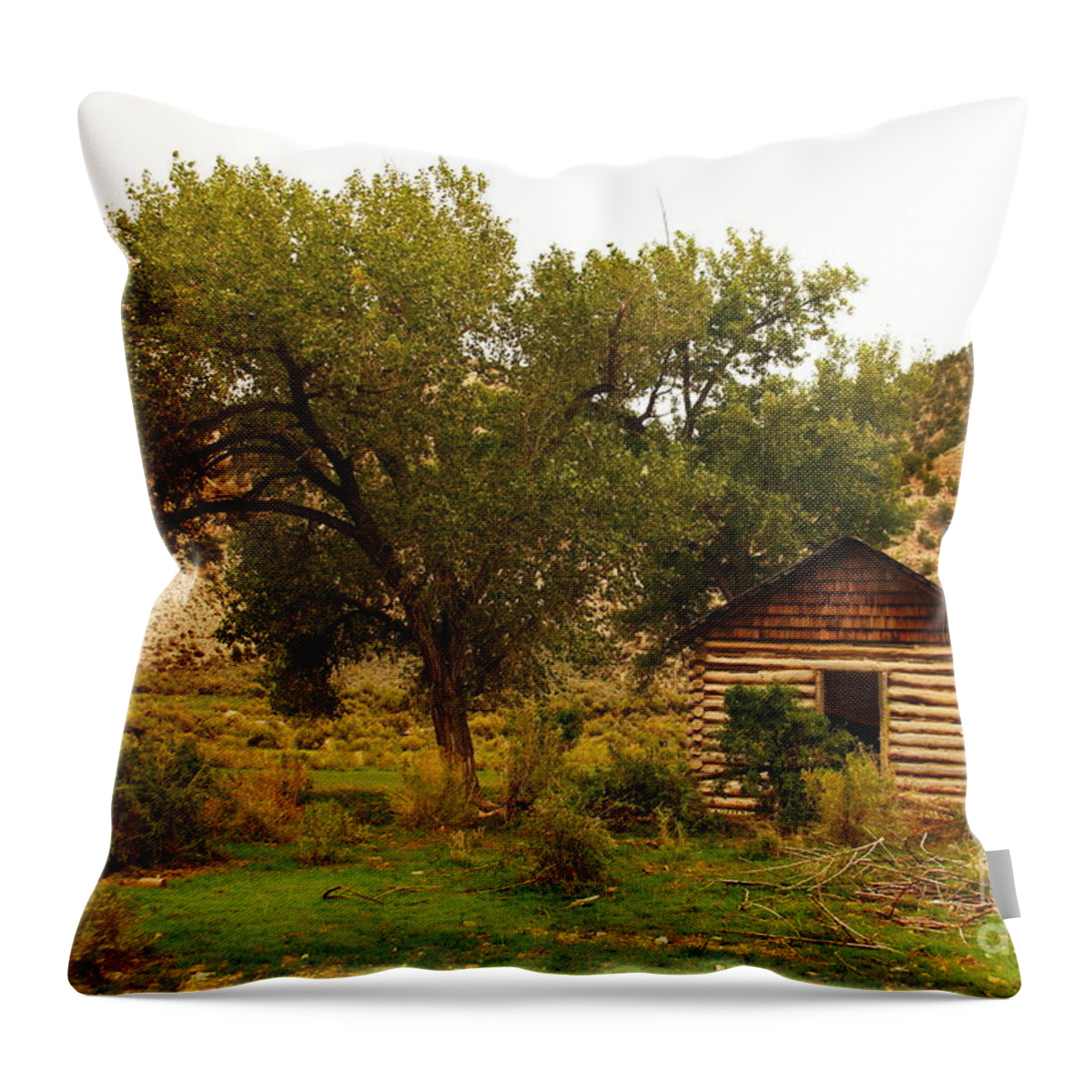 Cabin Throw Pillow featuring the photograph Cabin next to a tree by Jeff Swan