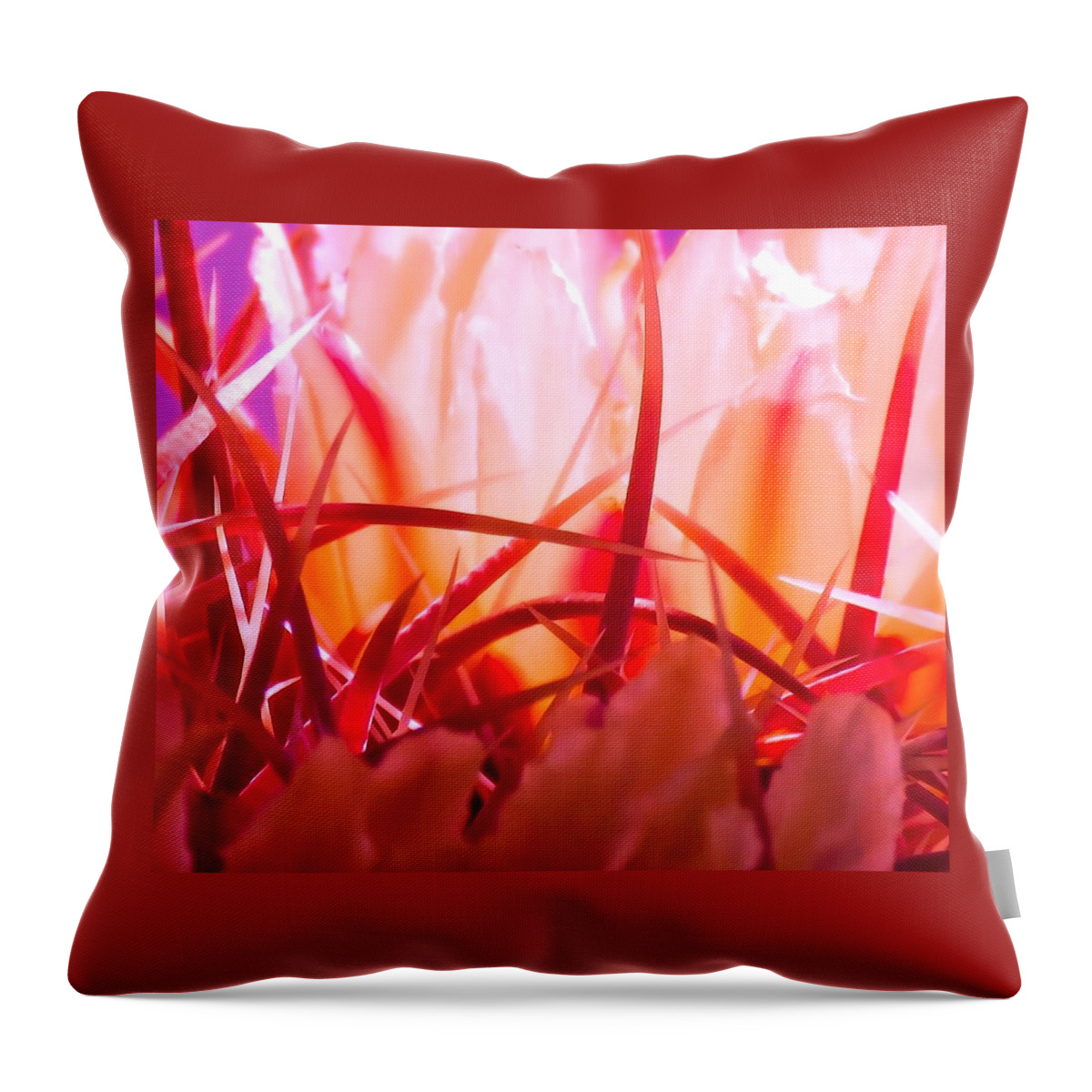 Arizona Throw Pillow featuring the photograph Cactus Cathedral by Judy Kennedy