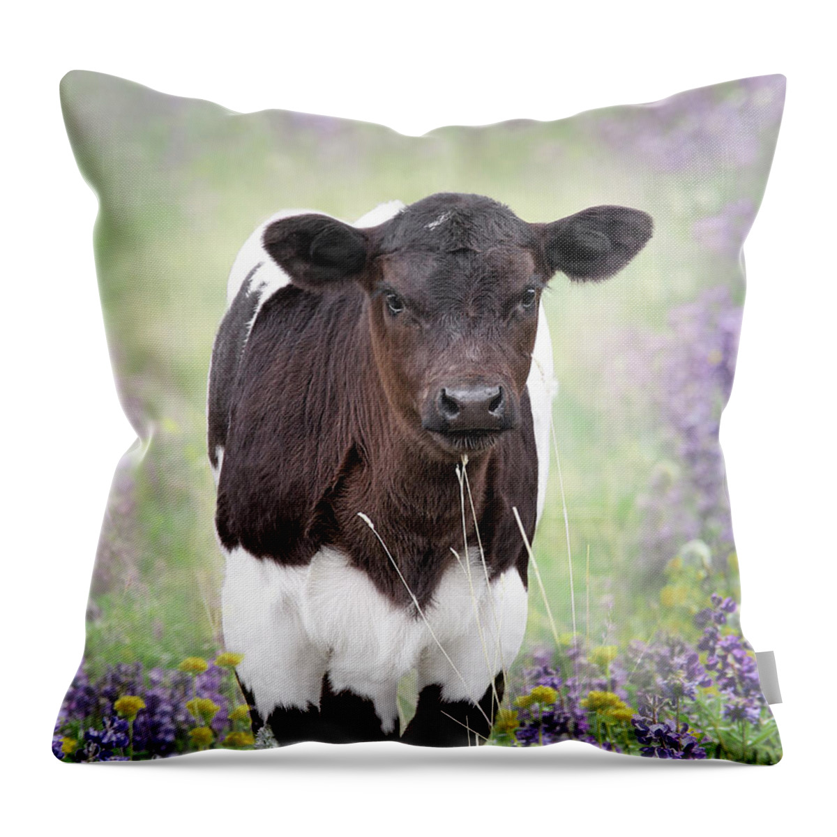 Calf Throw Pillow featuring the photograph Calf in the Lupine Flowers by Jennie Marie Schell