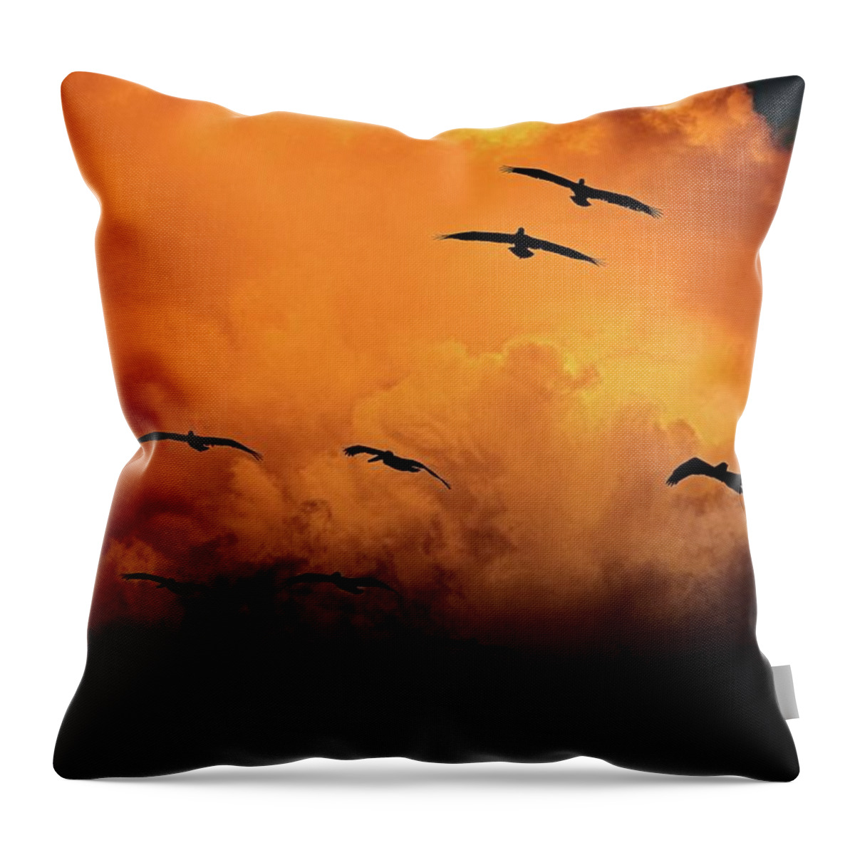 Birds In Flight Throw Pillow featuring the photograph California Exodus by Climate Change VI - Sales