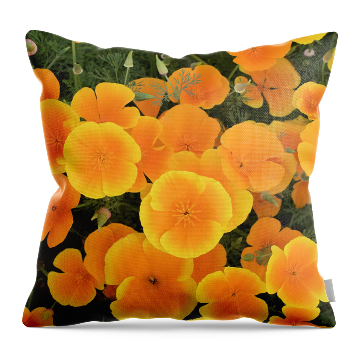 Eschscholzia Californica Throw Pillow featuring the photograph California Poppies by Tim Gainey