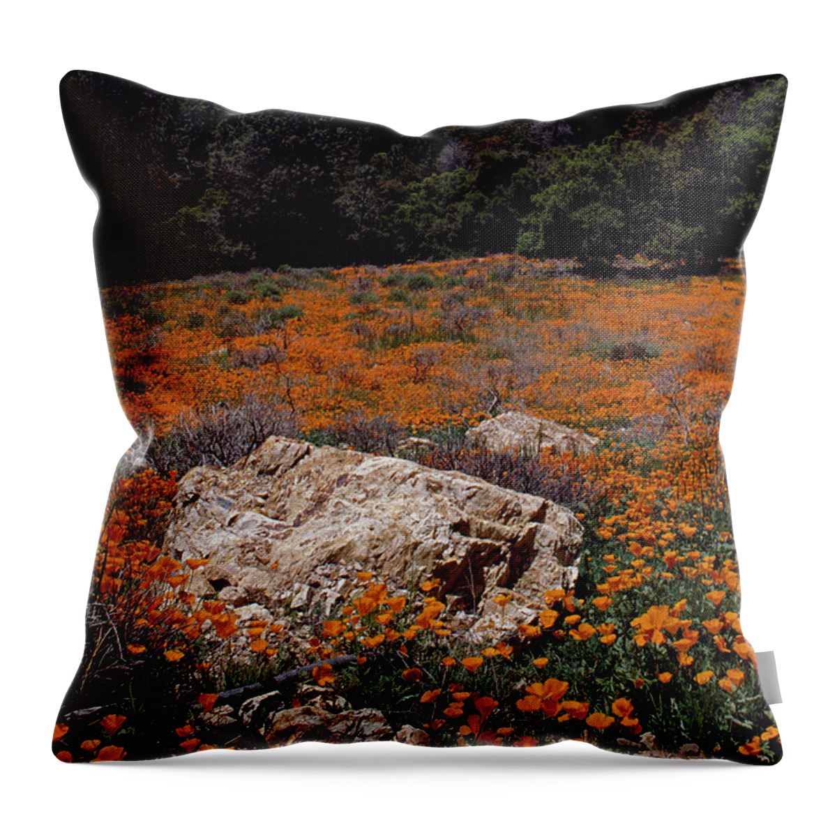 Flowers Throw Pillow featuring the photograph California Poppys-Signed by J L Woody Wooden