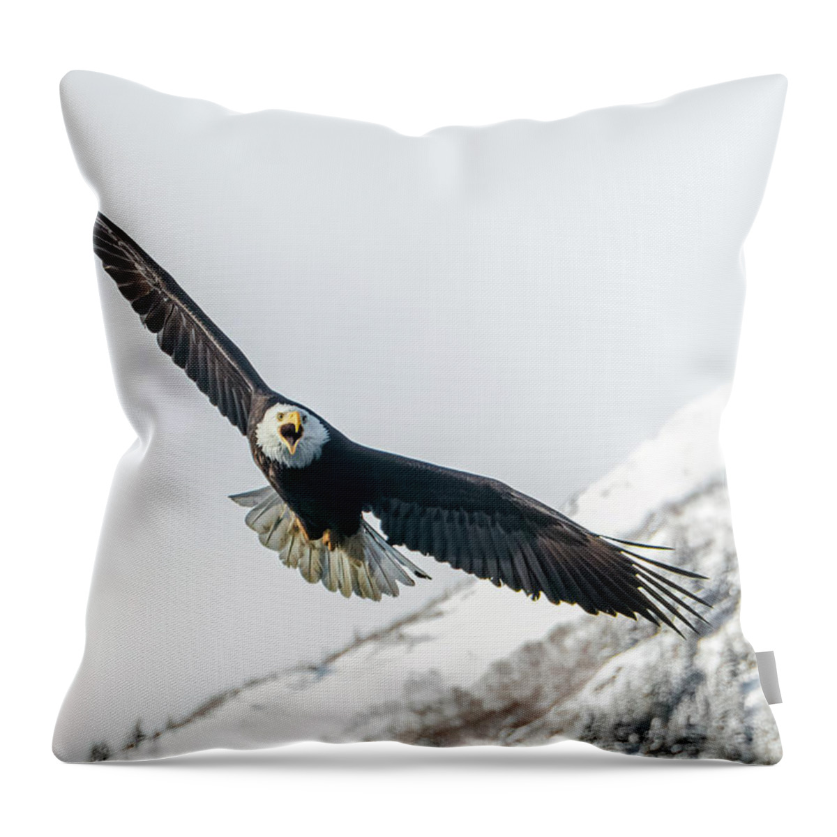 Bif Throw Pillow featuring the photograph Call of the Wild North by James Capo