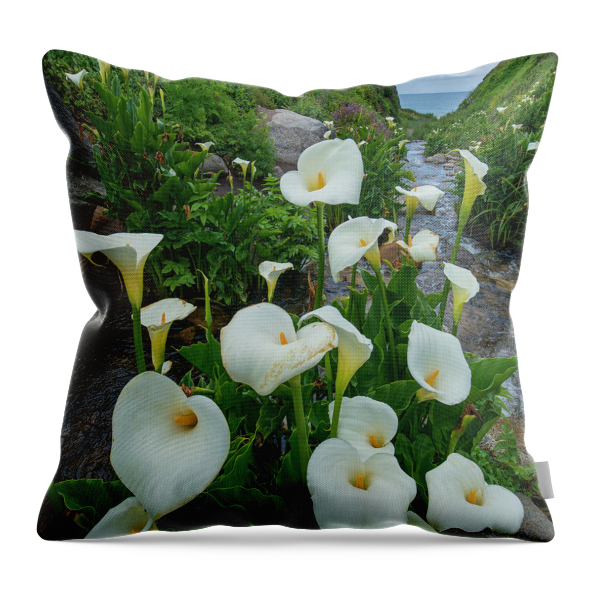 00571595 Throw Pillow featuring the photograph Calla Lilies, Garrapata State Beach, Big Sur, California by Tim Fitzharris