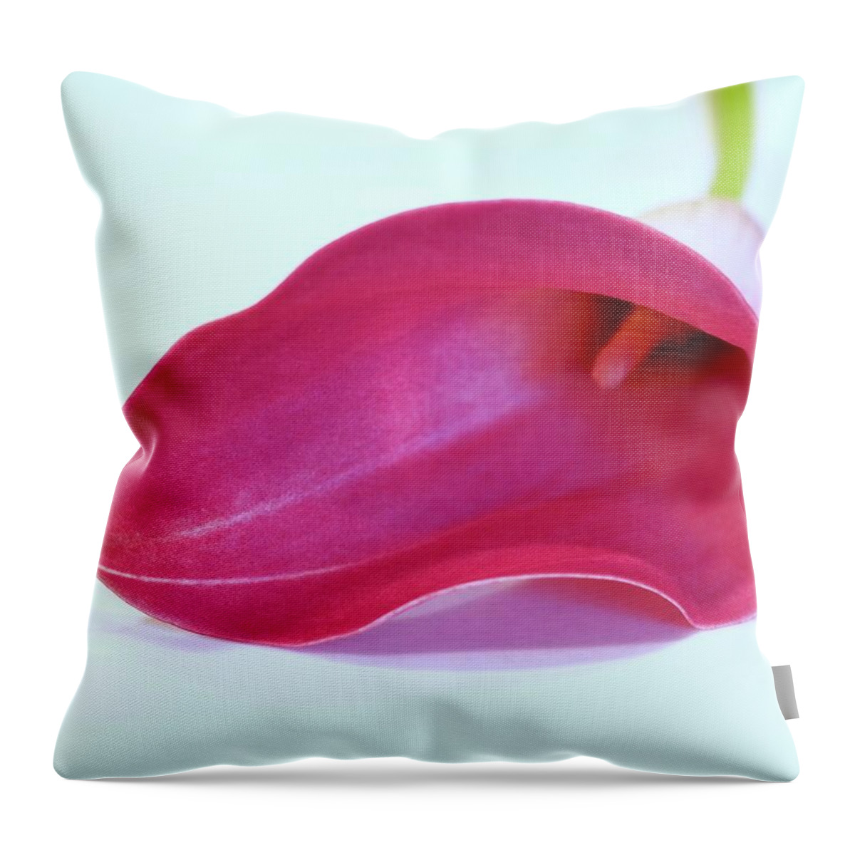 Calla Lily Throw Pillow featuring the photograph Calla Lily For Ed Baynard by Alida M Haslett
