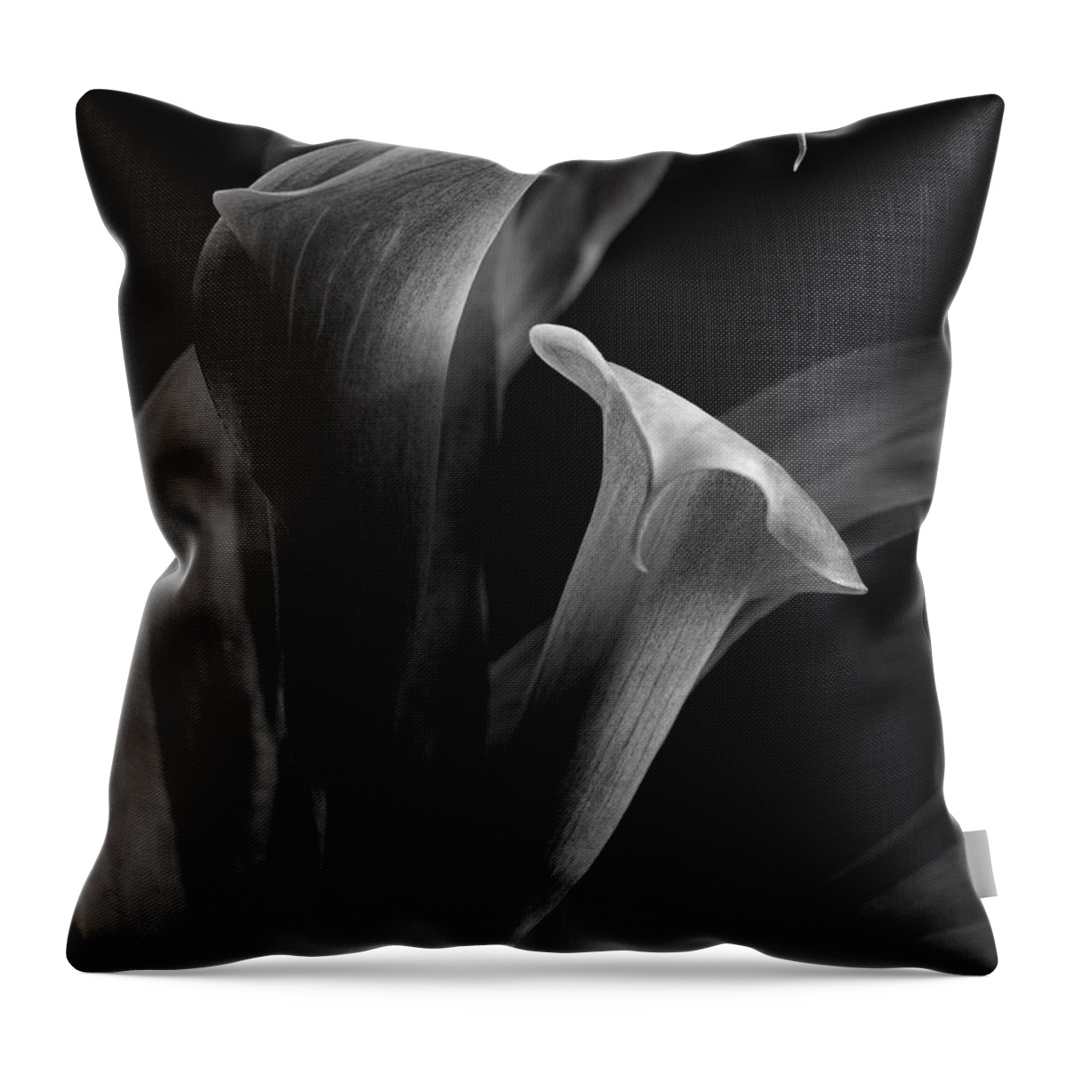 Photography Throw Pillow featuring the photograph Callalily by Jeffrey PERKINS