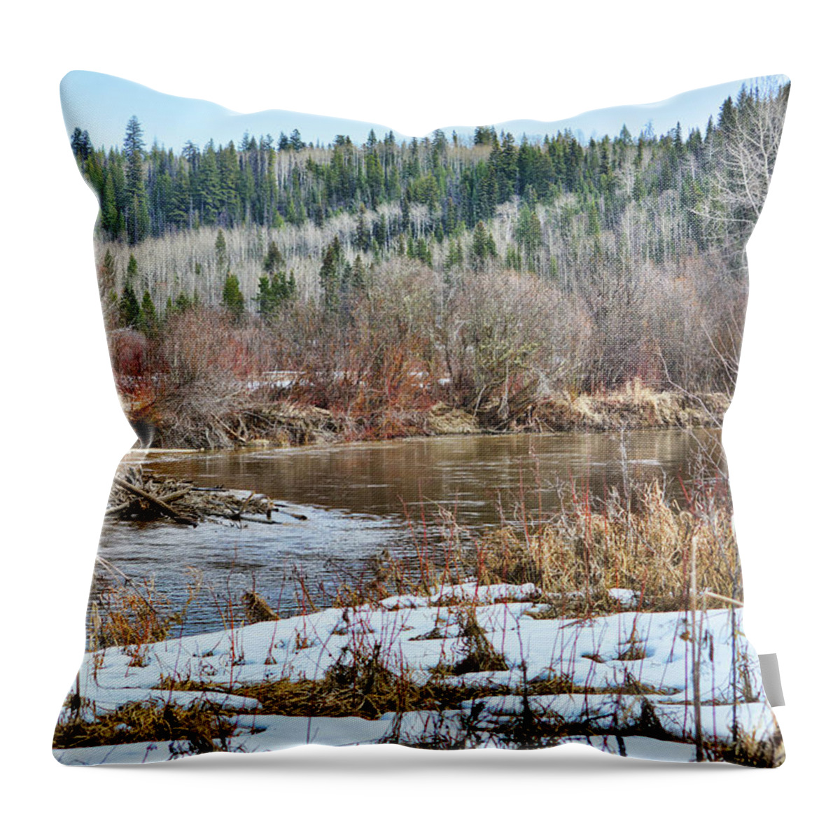 Storm Throw Pillow featuring the photograph Calm Waters by Vivian Martin
