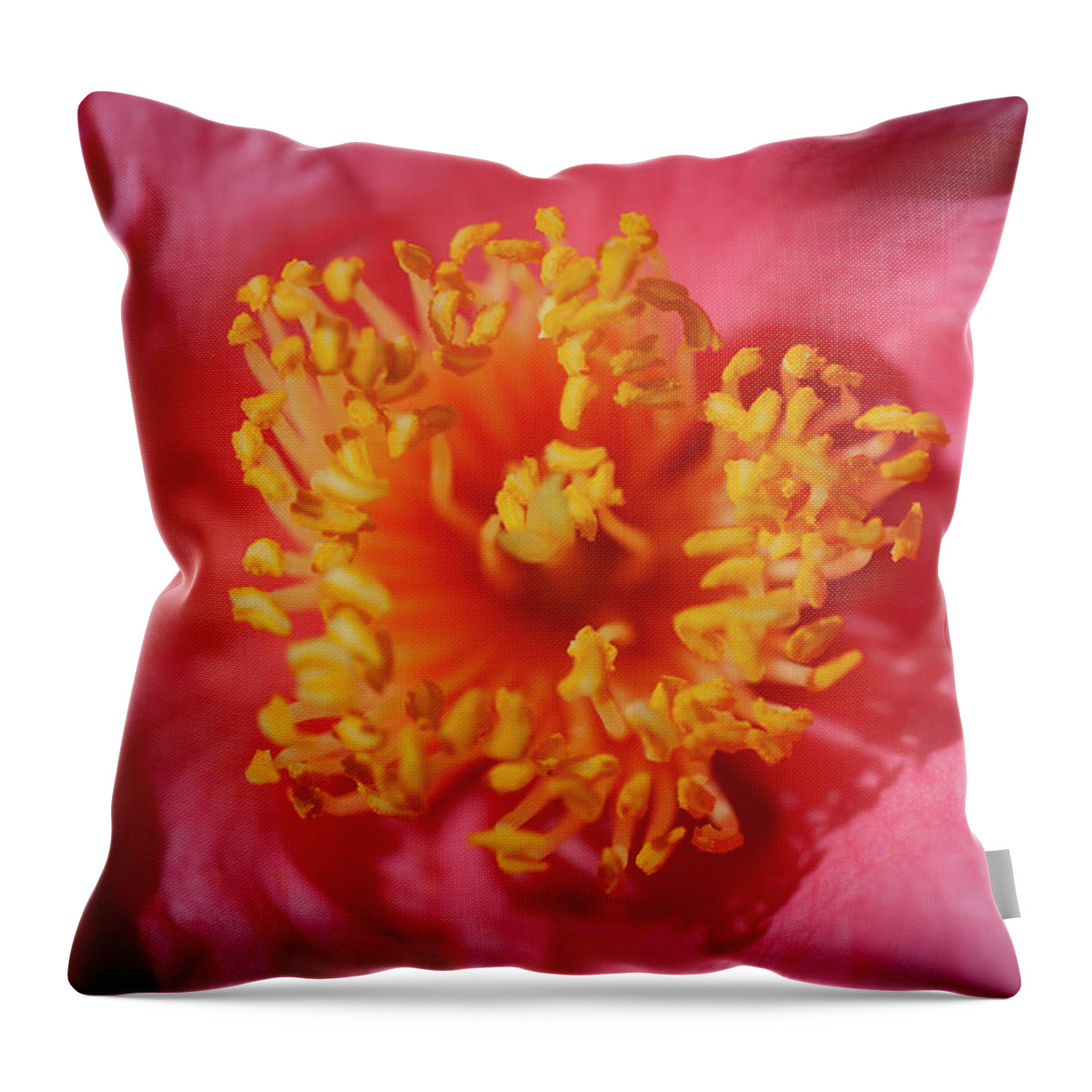 Camellia Throw Pillow featuring the photograph Camellias Japonica 130 by Rich Franco