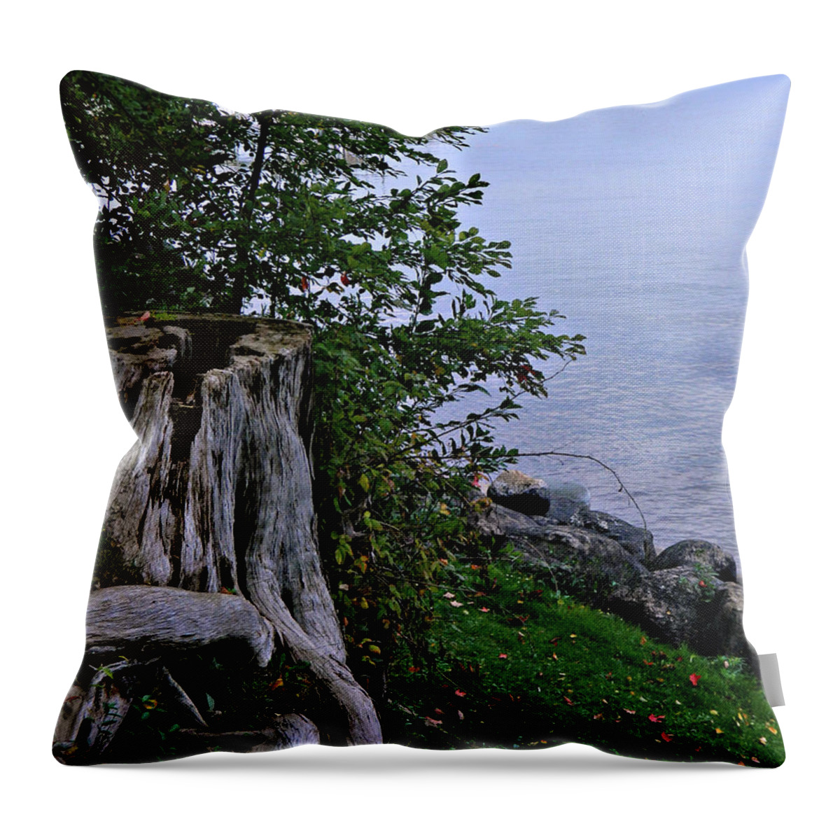 Can I Be Your Seat Throw Pillow featuring the photograph Can I Be Your Seat by Cyryn Fyrcyd