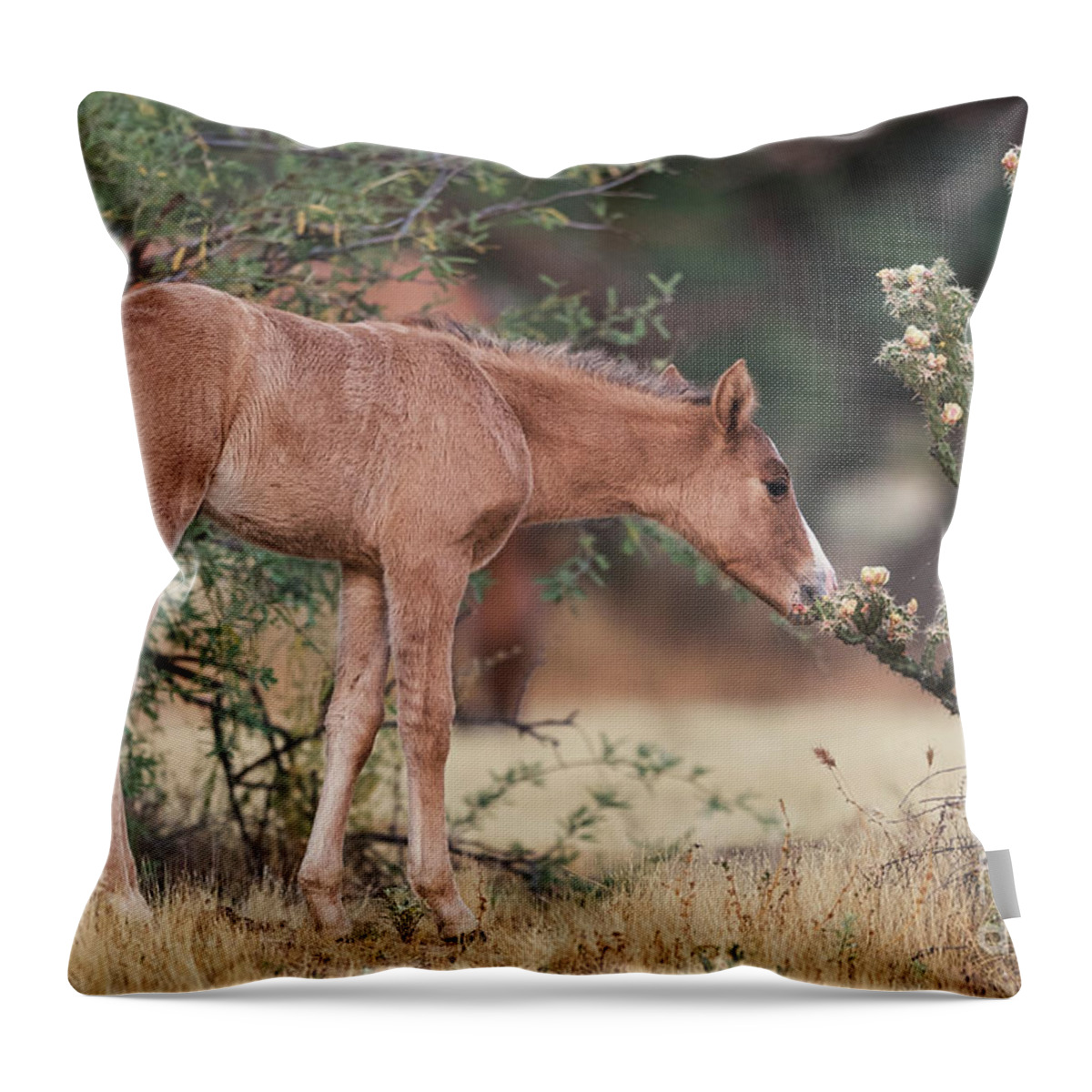 Foal Throw Pillow featuring the photograph Can I Eat This? by Shannon Hastings