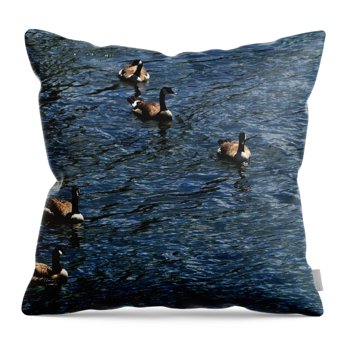 Wildlife Throw Pillow featuring the photograph Canada Gaggle Swim by Richard Thomas