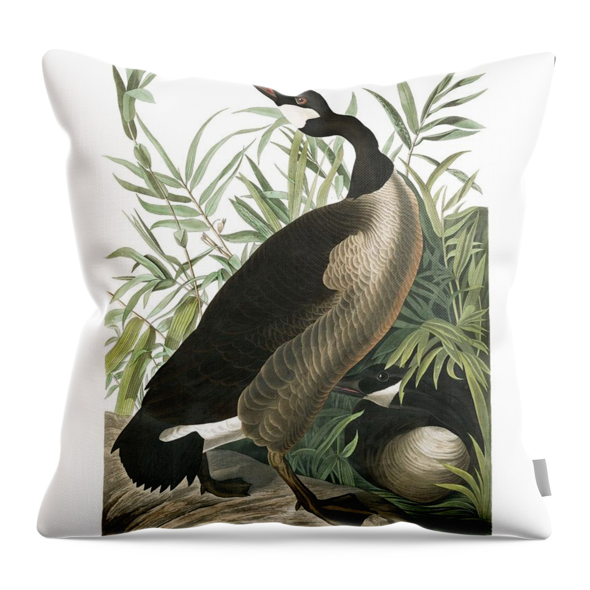Bird Throw Pillow featuring the painting Canada Goose by John Audubon by Celestial Images