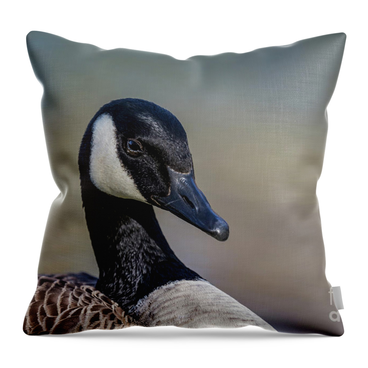 Canada Goose Throw Pillow featuring the photograph Canada Goose Portrait by Eva Lechner