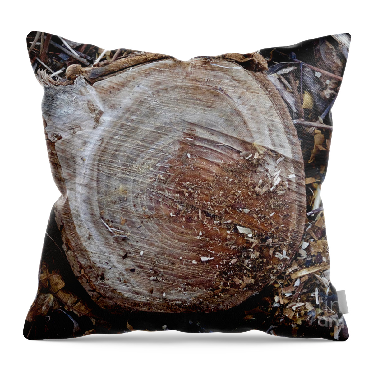 Canal Throw Pillow featuring the photograph Canal Stumps-008 by Christopher Plummer