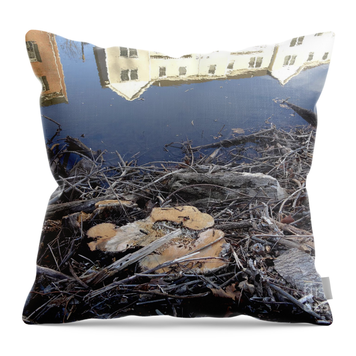 Canal Throw Pillow featuring the photograph Canal Stumps-033 Clinton St View by Christopher Plummer