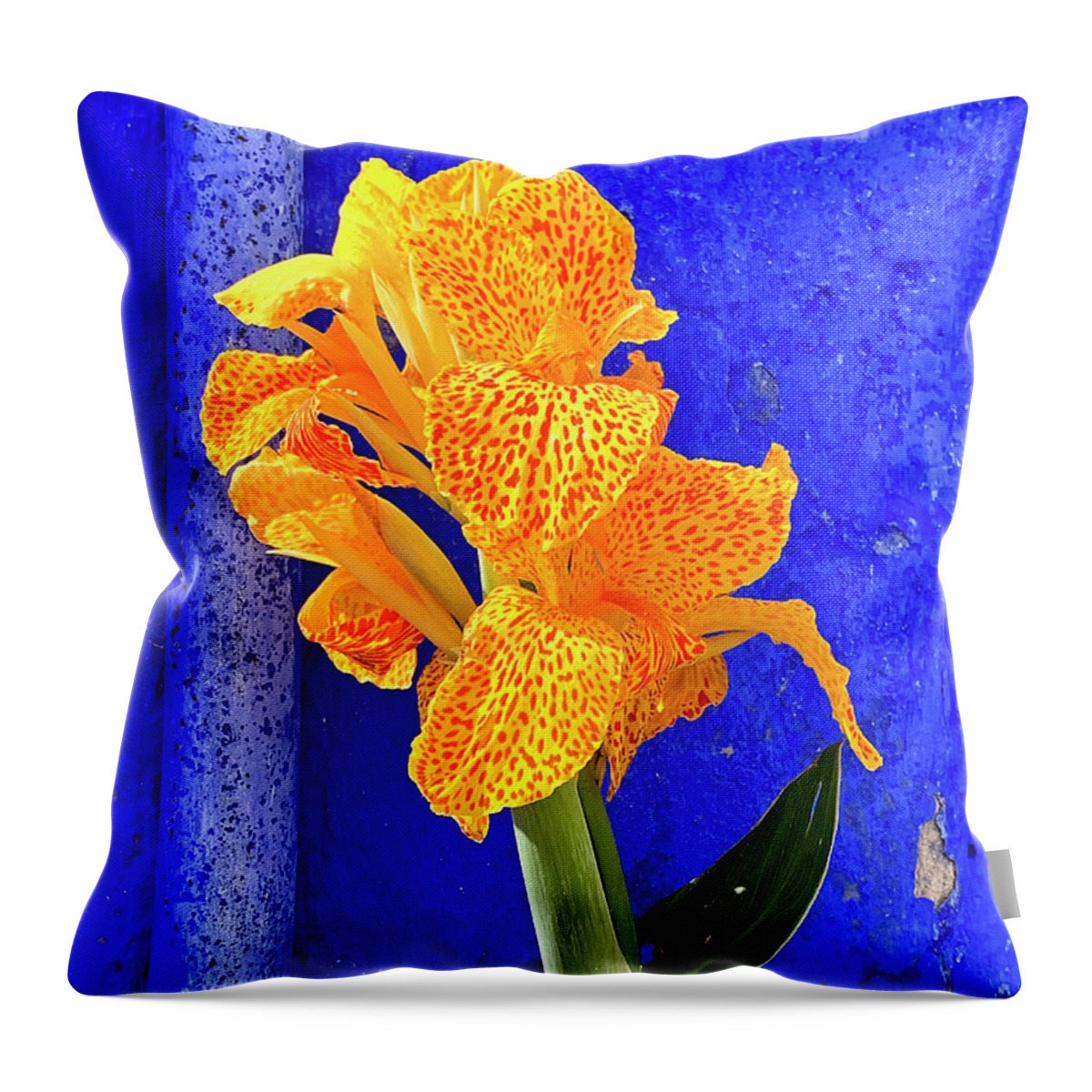 Canna Lily Throw Pillow featuring the photograph Canna Azure by Jill Love