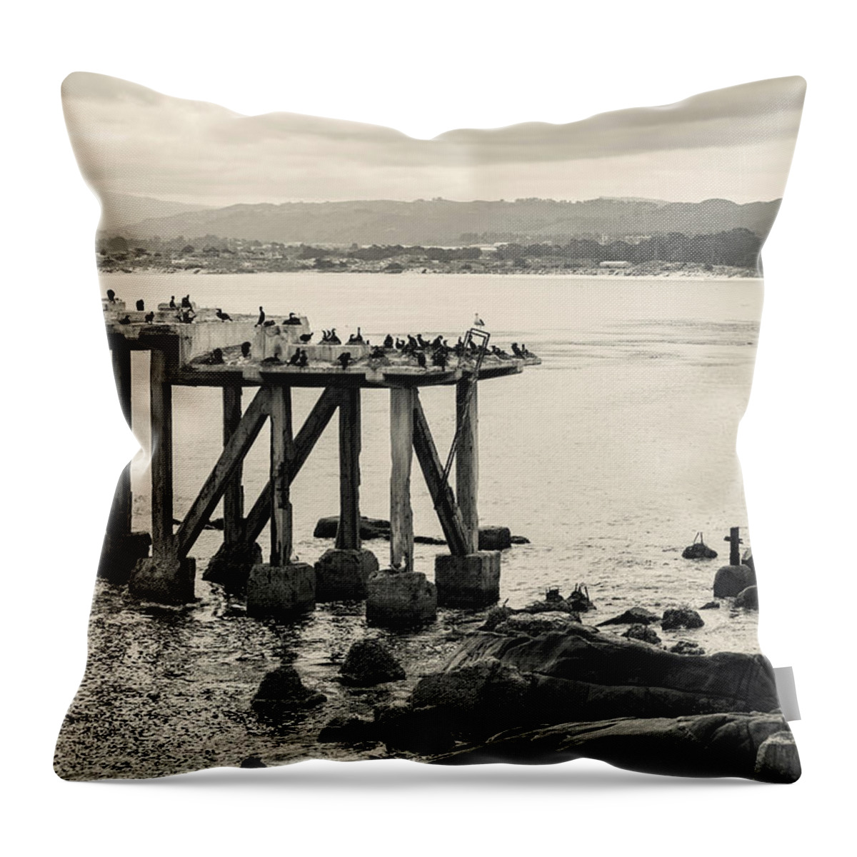 Monterey Throw Pillow featuring the photograph Cannery Row Monterey CA I Toned by David Gordon
