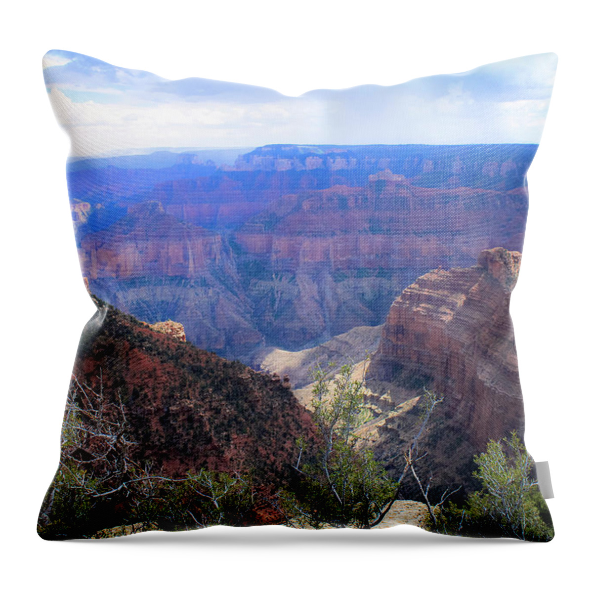 Grand Canyon Throw Pillow featuring the photograph Canyon Adventures by Michelle Anderson