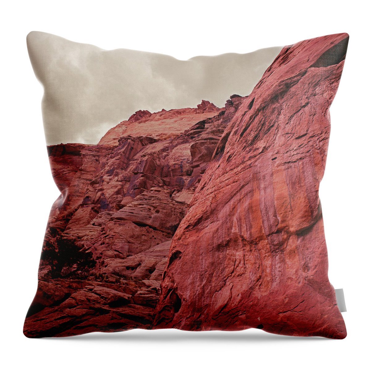 Tom Daniel Throw Pillow featuring the photograph Capitol Reef Grand Wash #2 by Tom Daniel