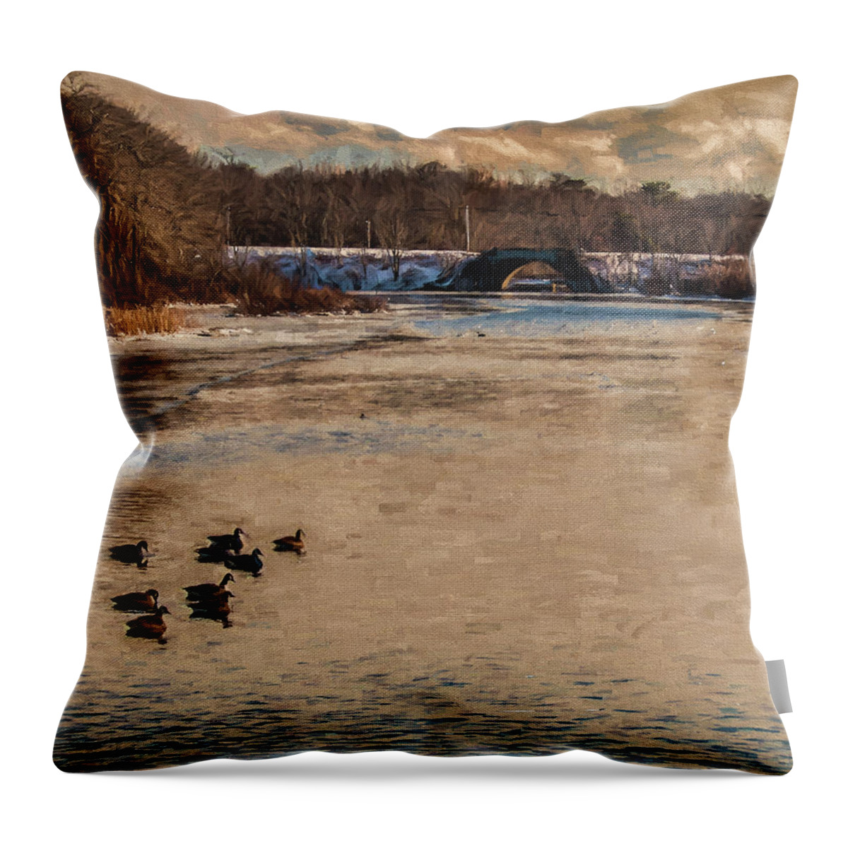 River Throw Pillow featuring the photograph Carmens River In Winter by Cathy Kovarik