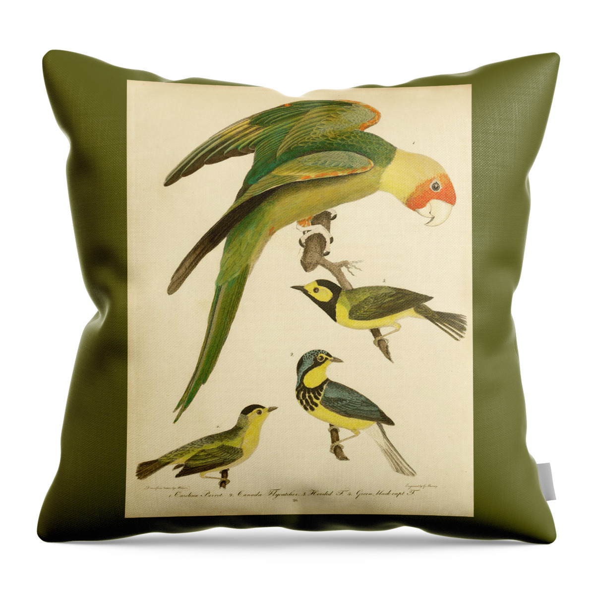 Birds Throw Pillow featuring the mixed media Carolina Parrot by Alexander Wilson